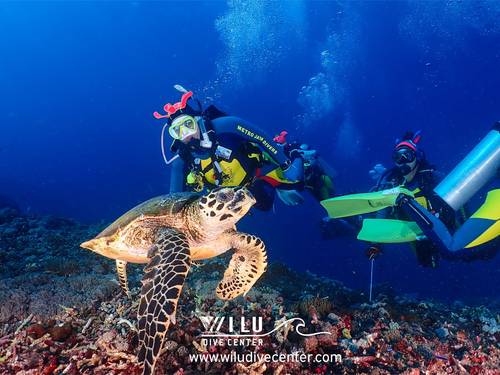 Wilu Dive Center