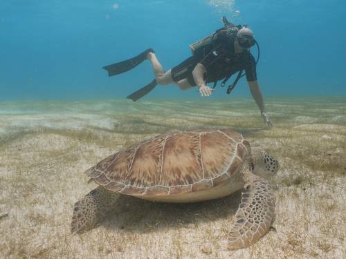 Aquanauts Dive Adventures