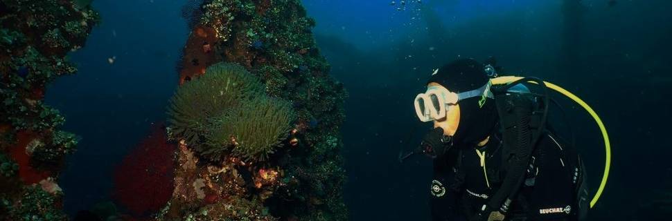 Exotis Bali Diving