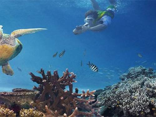 Abyss Dive Centre