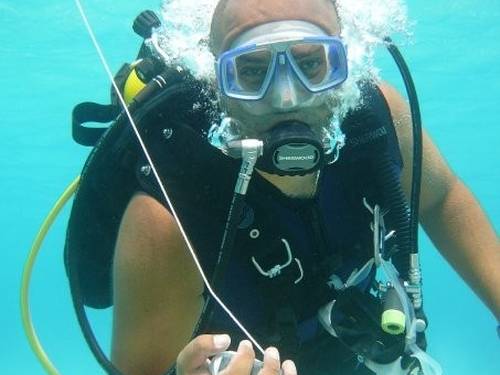 SEA WORLD PADI 5* CDC (CAREER DEVELOPEMENT CENTRE) Centre