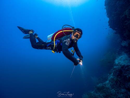 The Shark's Tail Dive Resort
