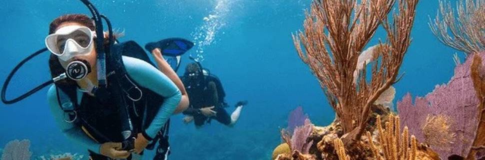 Scuba Life Cozumel