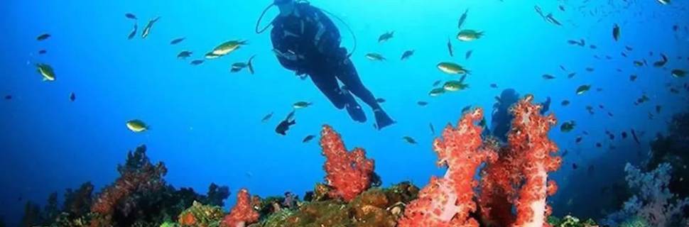 Bali Scuba