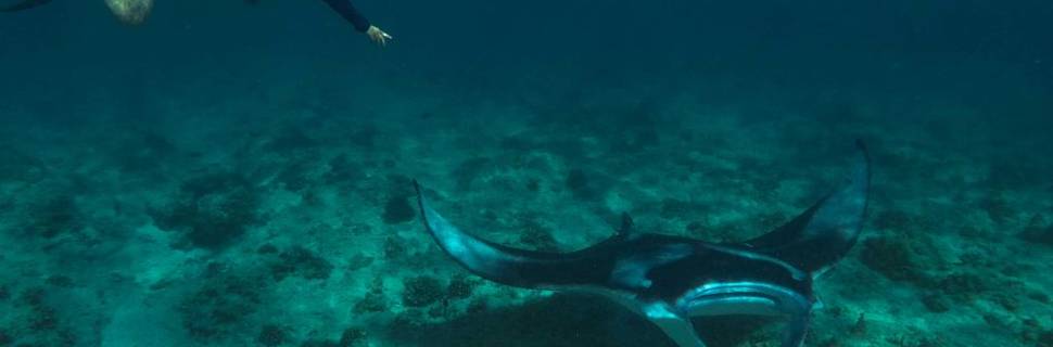 MSTS Scuba Fun