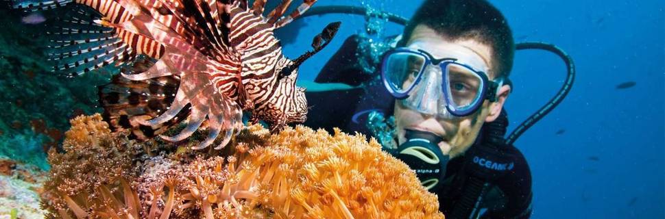 Dive UK Hurghada
