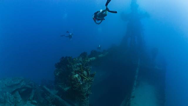 Green Divers Barbados
