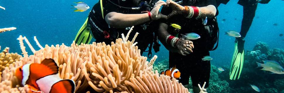 Experience Scuba