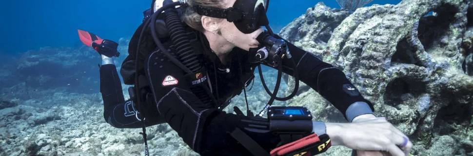 Rock Diving