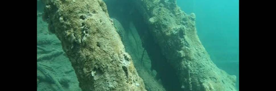 Gerda's Dive Shop