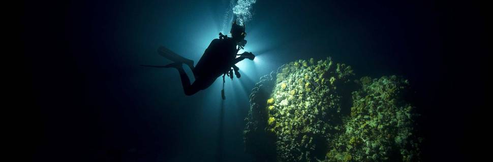 Wiltshire Scuba