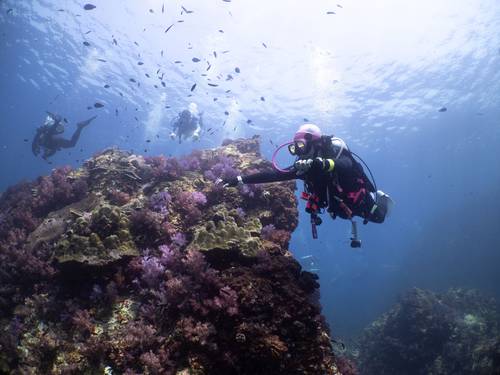 DiveRACE Class X Liveaboard