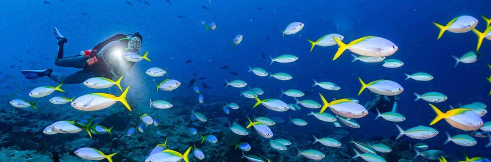 Legend Diving Penida