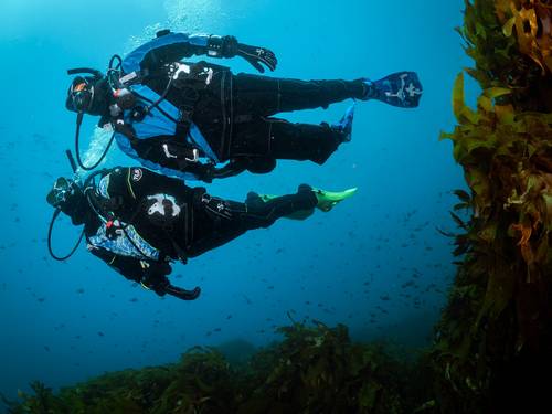 Kocher's Diving Locker, Ltd.