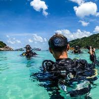 Taco Divers Koh Tao