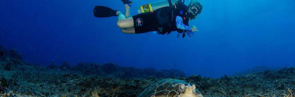 Gili Air Divers - Freedive Gili Air