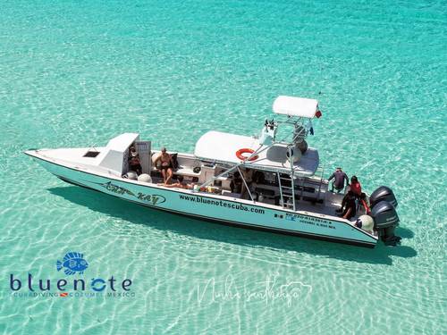 Blue Note Scuba