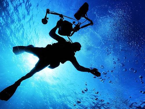 Herbies Diving Paradise, Ltd.