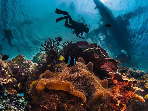 Fisheye Divers Boracay