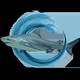 Dive Cabo Pulmo