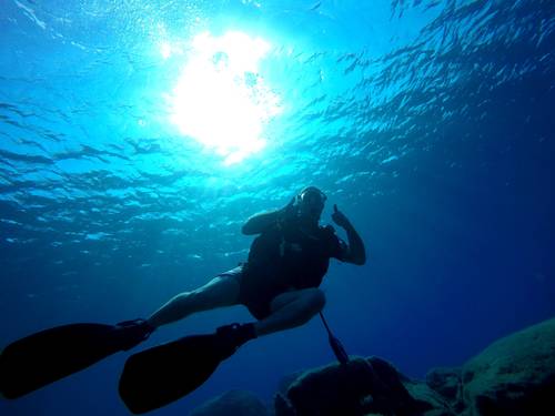 Viking Divers
