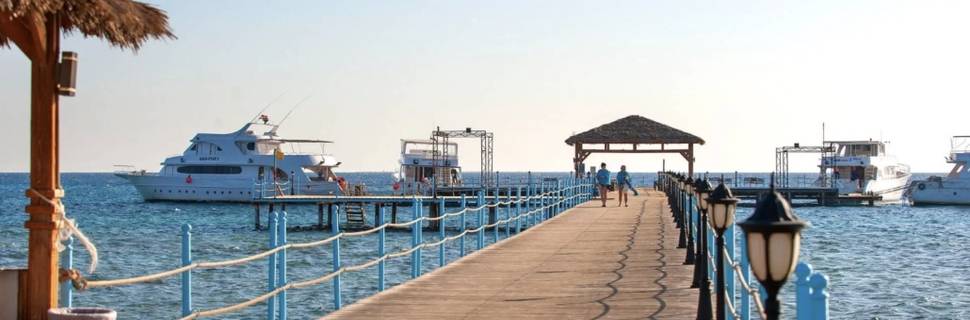 AQUASTARS DIVE CENTER - AMWAJ BEACH CLUB