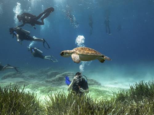 Aquanaut Diving School