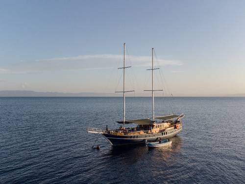 Dolphin Excursions SARL