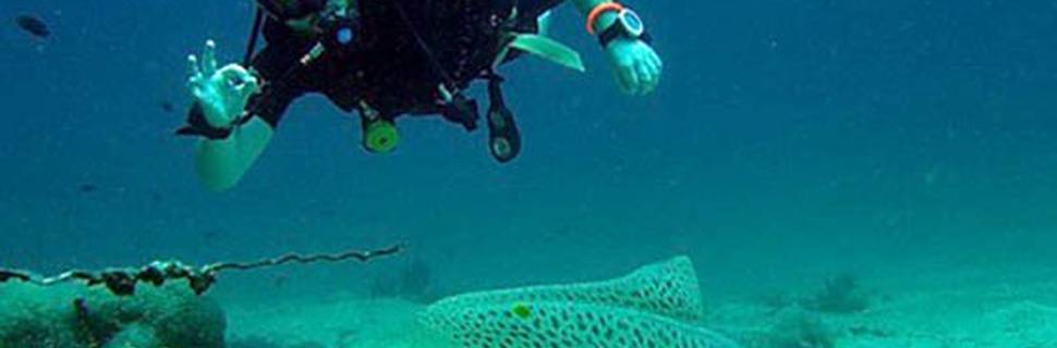 Oceanic Dive Center Kata Beach Scuba Diving