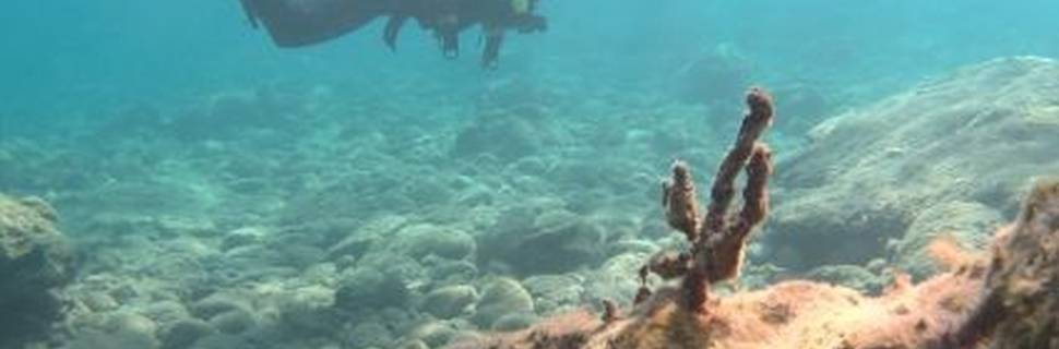 Scuba World Diving Center