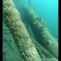 Gerda's Dive Shop