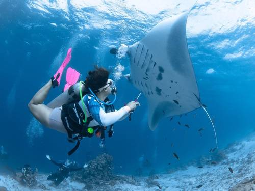 Scuba Go Indonesia - Komodo (Labuan Bajo)