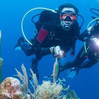 Scuba Roatan