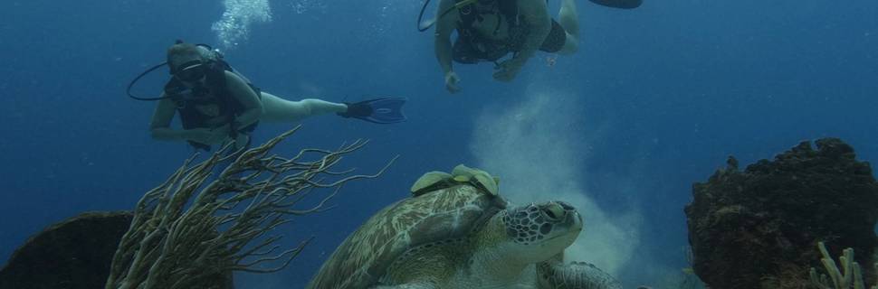 Alma Libre Dive Center Cozumel