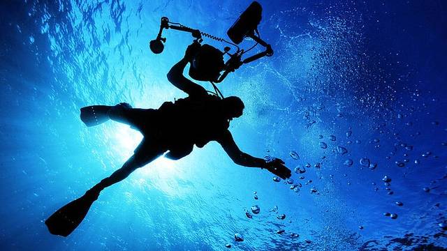 Herbies Diving Paradise, Ltd.