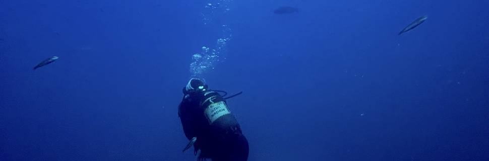 Albadive
