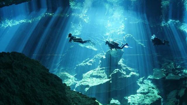 Wet Set Diving Adventures