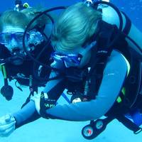 Bananarama Resort & Dive Center