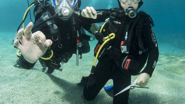 Dive2gether