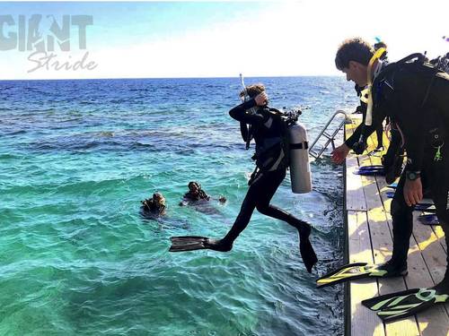 Giant Stride Diver