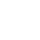 Baja Shark Experience