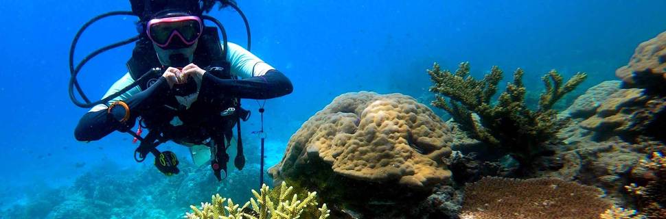 The Reef Dive Resort - Mataking Island