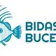 Bidasoa Buceo
