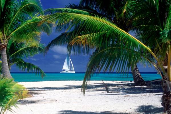 The Bahamas