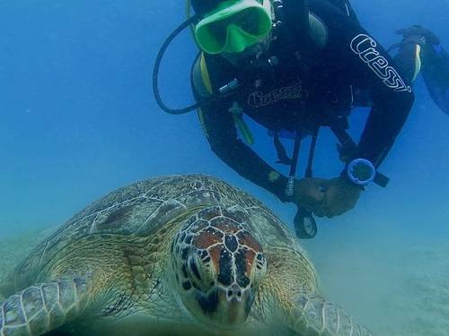 Blue Sea Diving Center