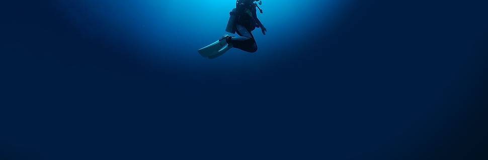 Aqua Cat Horomui Diving