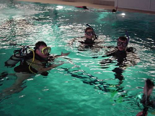 Delfin Divers Tauchsport
