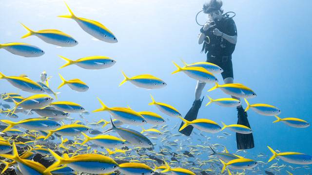 Trek Divers Seychelles