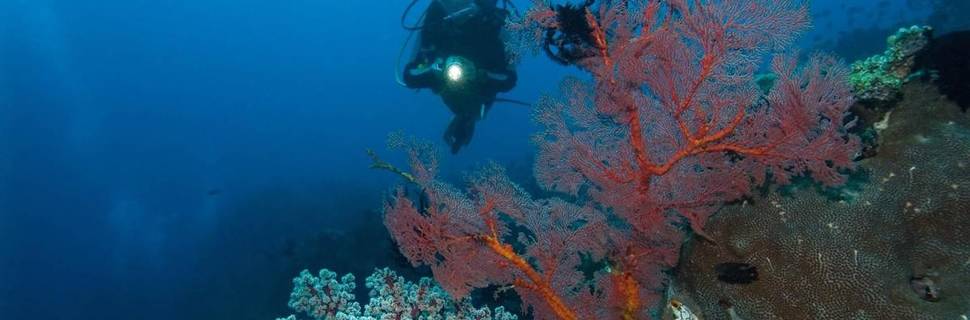 Gangga Divers