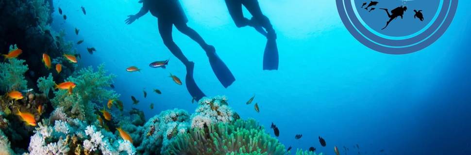 Scuba Hub Diving Club